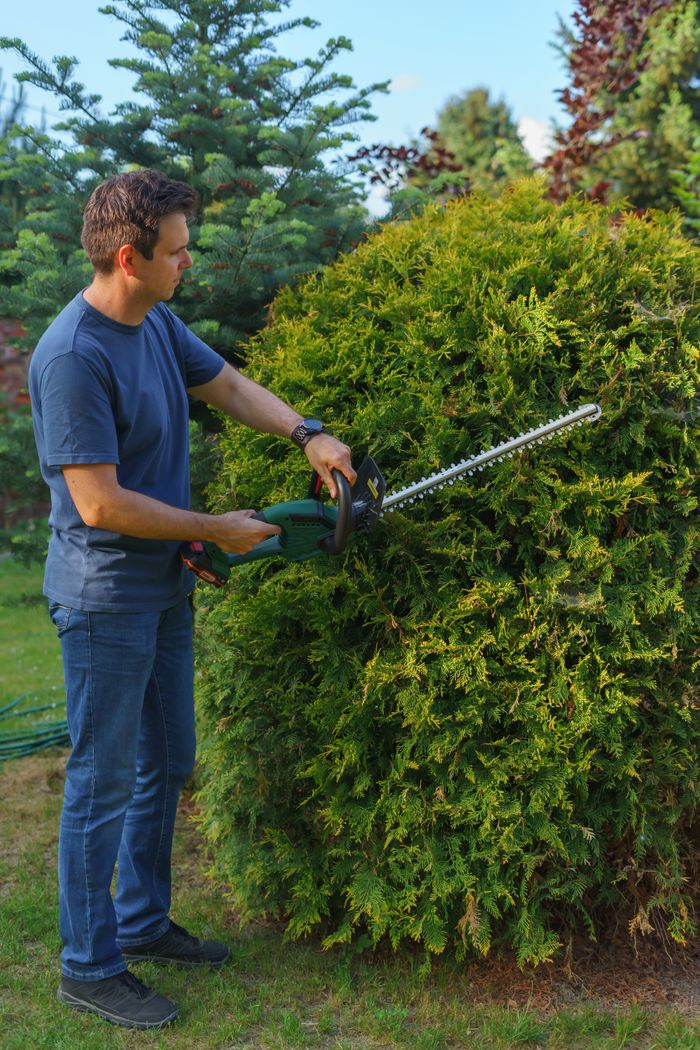 services-02 Man using an electric hedge trimmer to shape a garden shrub. Ideal for gardening themes.