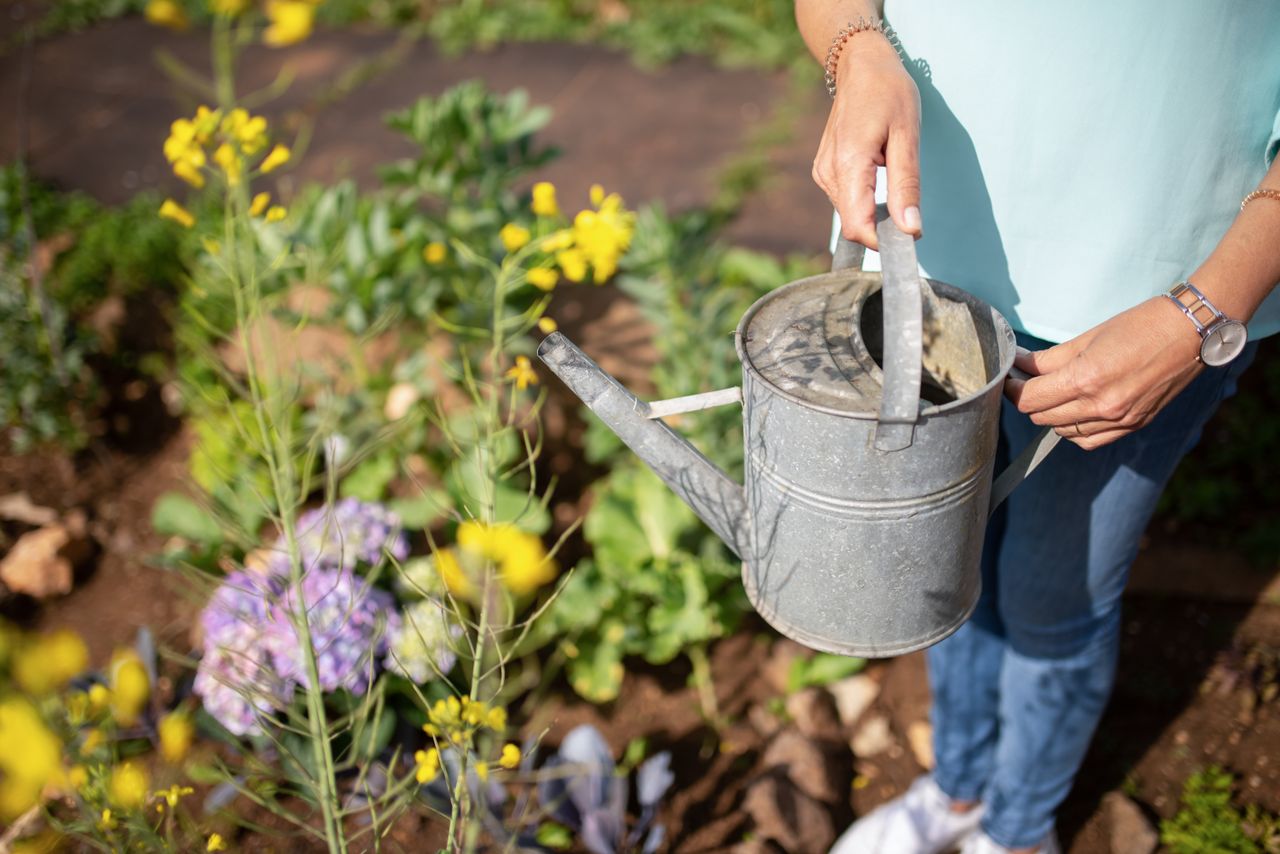 services-01 A woman holding a watering can in a vibrant garden setting in Portugal.